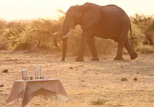 Savute Under Canvas - Botswana