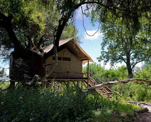 Tubu Tree Camp - Okavango Botswana