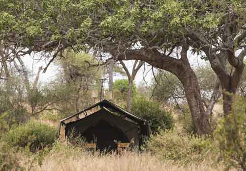 Kuro Tarangire - Tanzania