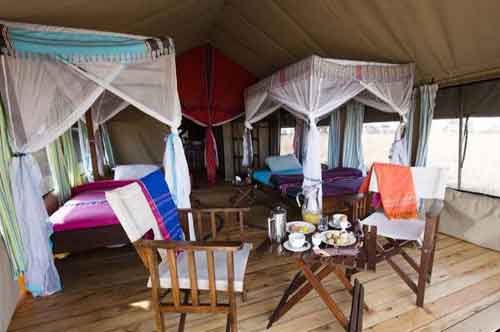 Tingitana Camp - Serengeti Tanzania
