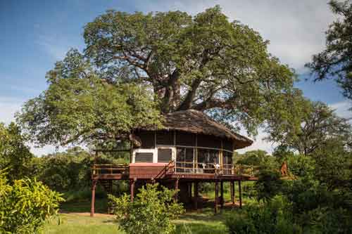 Tarangire Treetops  - Tanzania