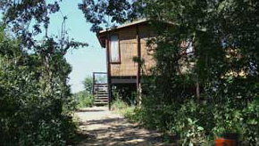 Kanyemba Lodge - Lower Zambezi Zambia