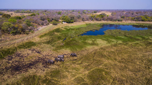Nanzhila Plains Camp - Kafue Zambia