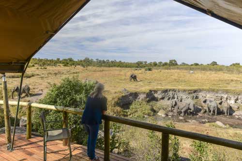 Deteema Springs - Hwange Zimbabwe