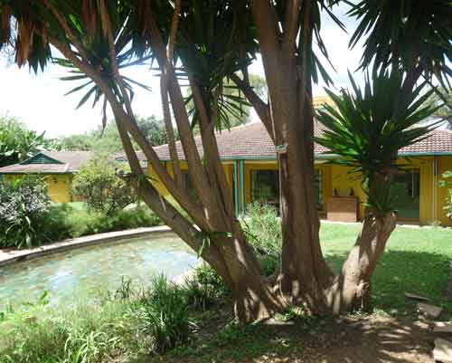 Jacana Lodge - Harare Zimbabwe