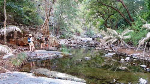 Wandelsafari Leon Varley - Chizarira Zimbabwe