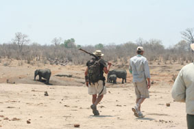 Leon Varley wandelsafari's - Hwange Zimbabwe