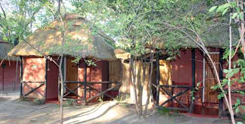 Miombo Safari Camp - Hwange Zimbabwe