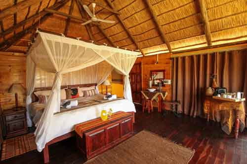 Nehimba Camp - Hwange Zimbabwe