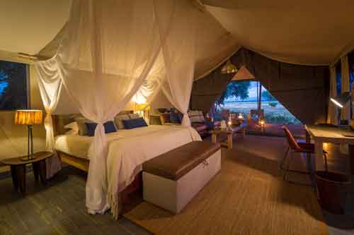 Ruckomechi - Mana Pools Zimbabwe