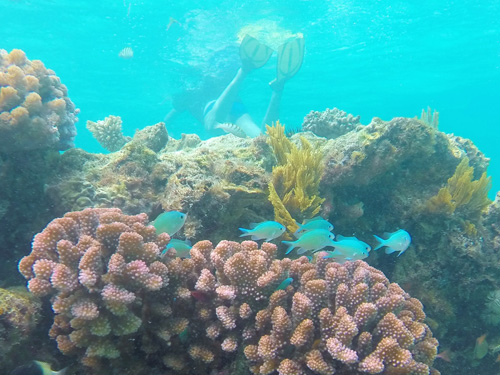 Fanjove Island Snorkelen Fanjove Island Snorkelen