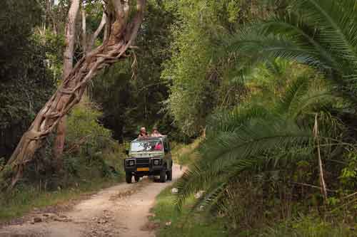 Wami River Saadani NP Saadani safari Tanzania