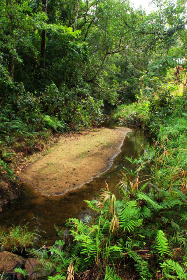 Nkhotakota Game Reserve Nkhotakota Game Reserve Malawi