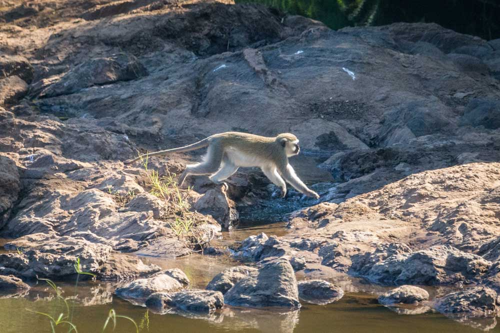 Nkhotakota Game Reserve Nkhotakota Game Reserve Malawi