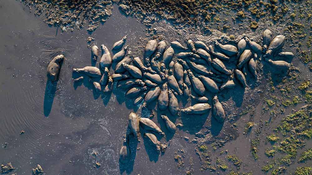 Kafue Busanga Plains Zimba Safaris | Kafue National Park Zambia