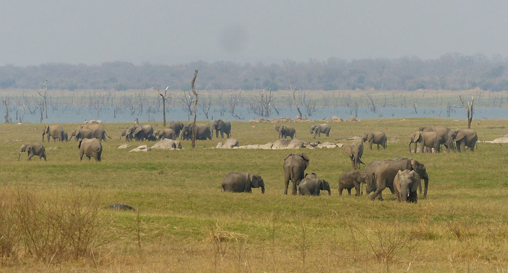 Kafue National Park Zambia