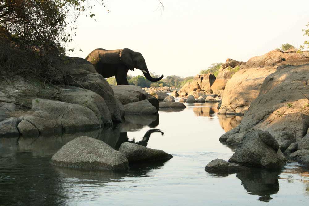 Zimba Safaris | Kafue National Park Zambia