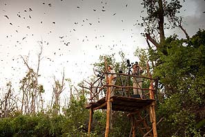 Wasa Lodge - Kasanka National Park Kasanka National Park Zambia