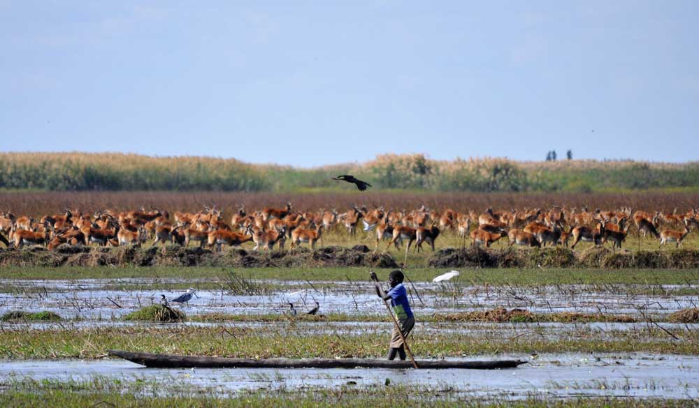 Bangweulu Moerassen Bangweulu Swamps Zambia
