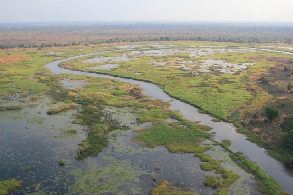 Bangweulu Moerassen Bangweulu Swamps Zambia