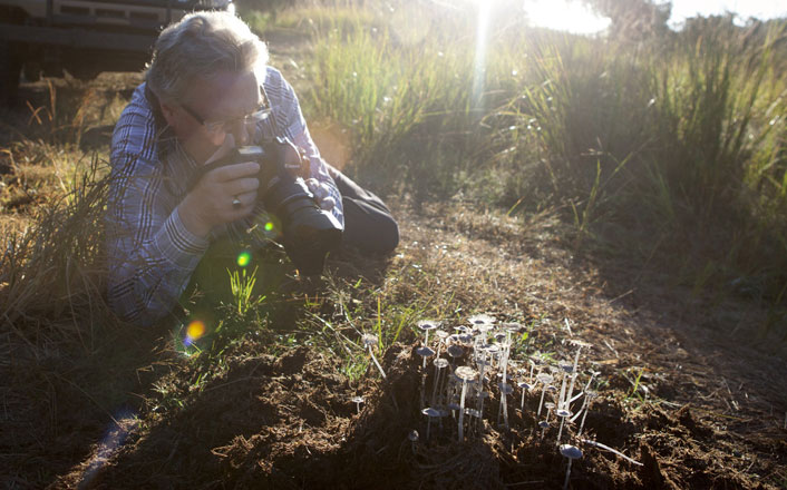 Privé Fotografie Safari - South Luangwa South Luangwa National Park Zambia