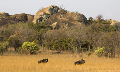 Zimbabwe Matobo Hills Matobo Hills Zimbabwe