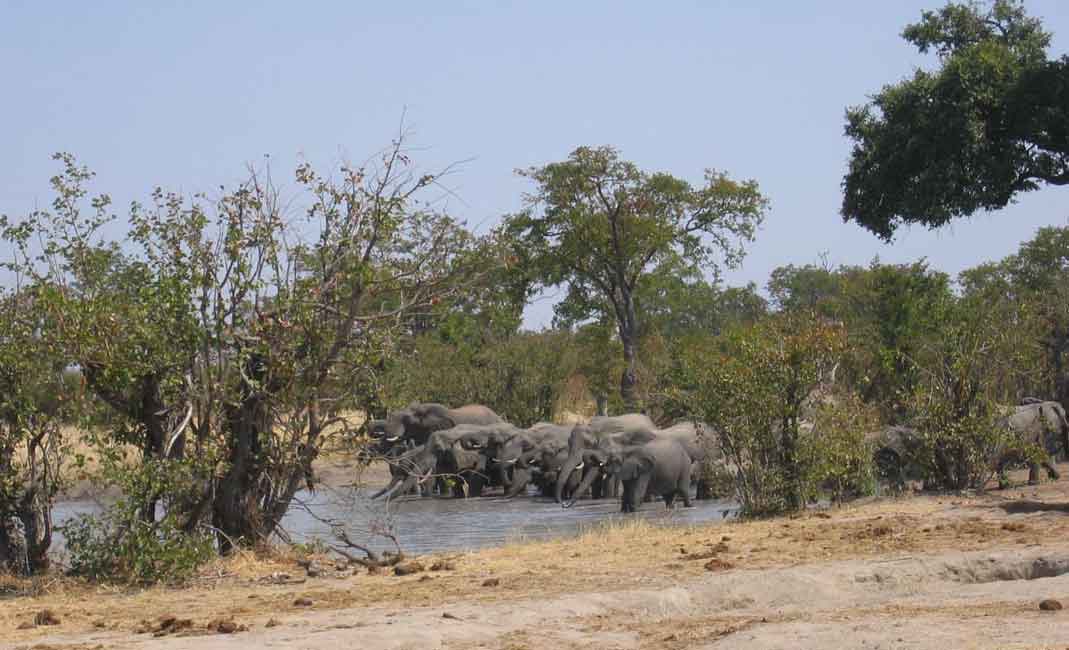 Chizarira Wildlife Area Chizarira Zimbabwe