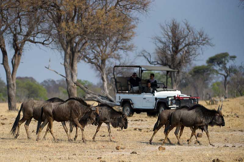Zimbabwe Hwange National Park