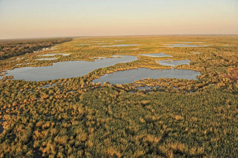 Linyanti Game Reserve Linyanti en Savuti regio in Chobe NP