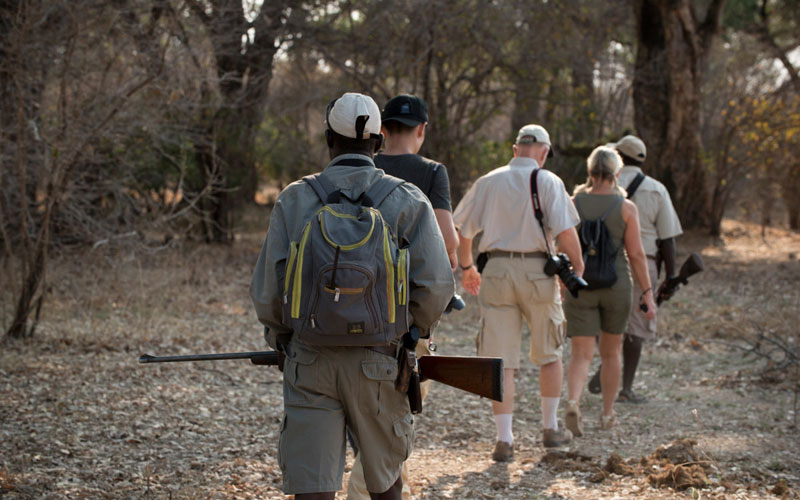 Linyanti Game Reserve Linyanti en Savuti regio in Chobe NP