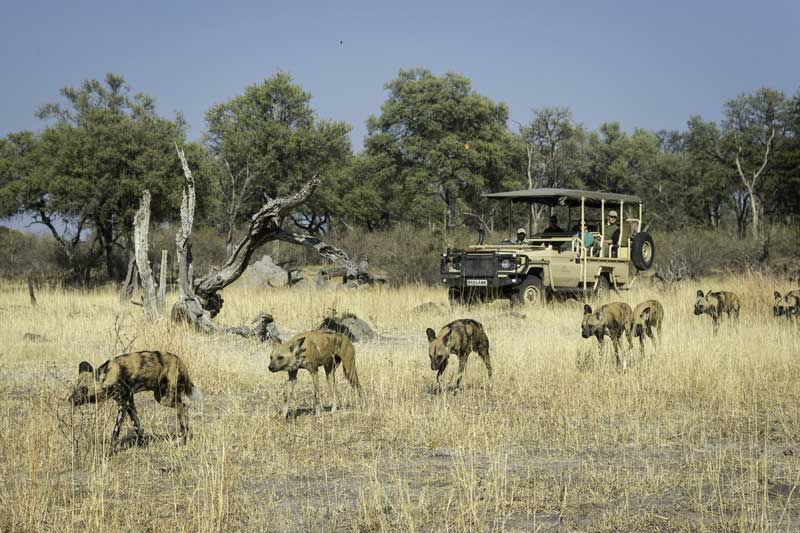 Linyanti safari botswana Linyanti en Savuti regio in Chobe NP