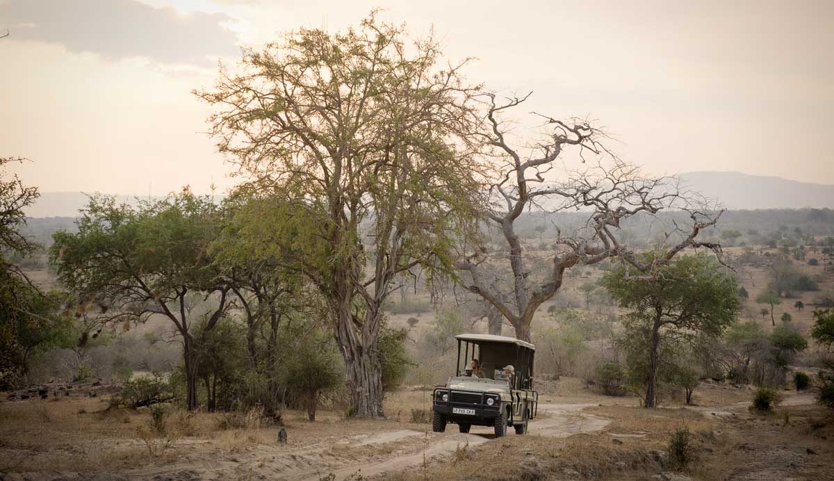 Selous Game Reserve Selous safari Tanzania