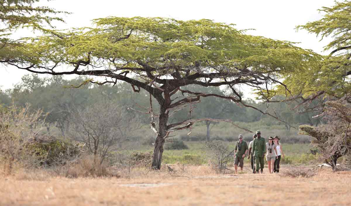 wandelsafari's Selous Selous safari Tanzania